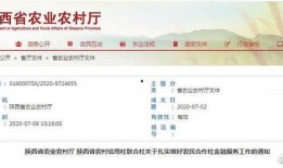 陕西最近的新爆料新闻,揭秘某重大事件背后真相